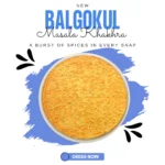 BalGokul Foods Healthy Bites – Masala Khakhra - Image 2