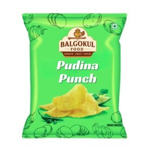 BalGokul Foods Pudina Punch Wafer