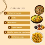 Balgokul Turmeric Powder - Image 3